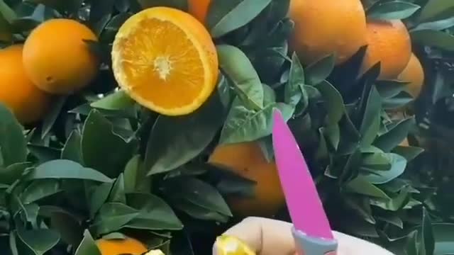 Ripe orange