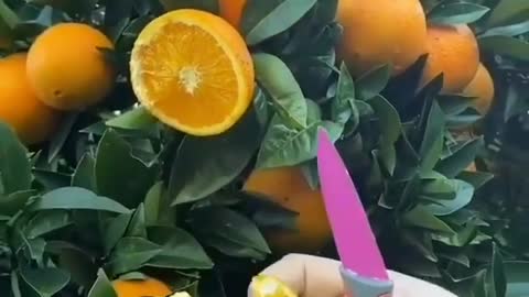 Ripe orange