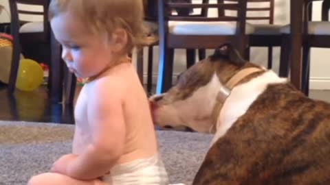Sweet BaBy And Dog 😱😱😱😱😱