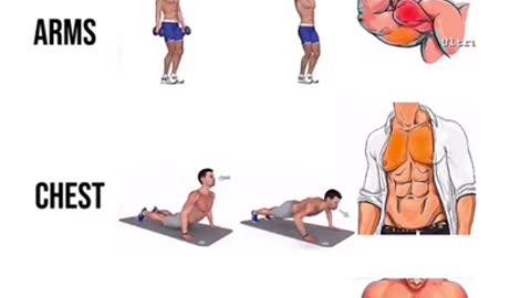 Body fitness video