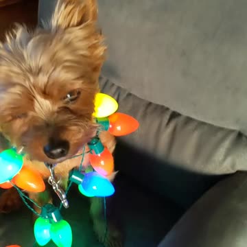 When you want to party, but sleep is life.