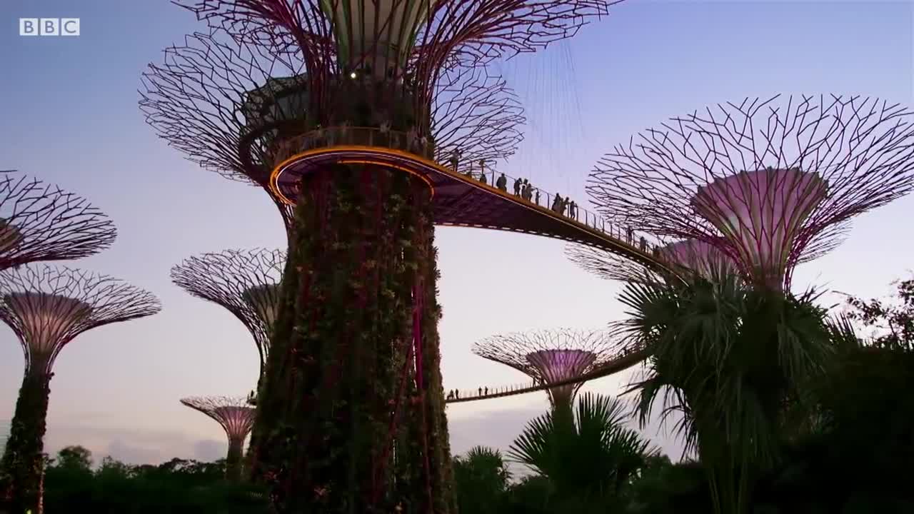 Cities That Are Saving The Planet | Planet Earth II | BBC Earth