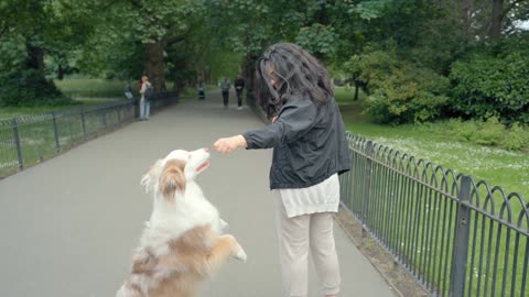 A Woman feeds dog a treat in the park