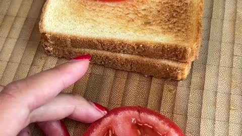 .Replyingto@my_tooth_hurts_worsetoastedtomatomayosandwich#TomatoMayoSandwich