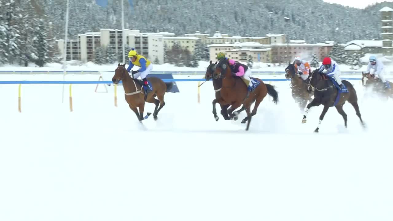 The Grand Prix horserace ended in a fall of five horses and riders on February