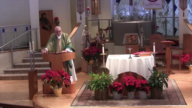 Homily for the 6th Sunday in Ordinary Time "C"