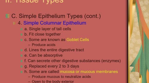 Lecture: Chapter 3 Part I: L3 Tissue Types