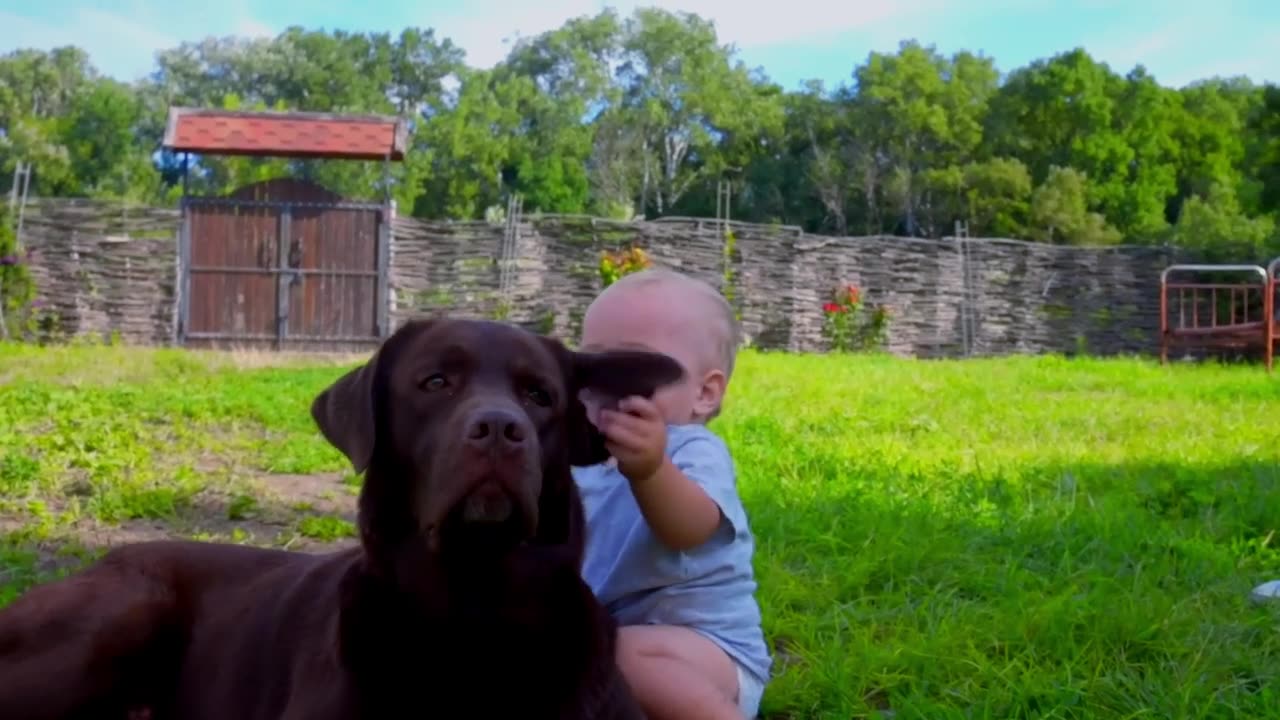 Pure Love! Baby's Sweet Labrador Retriever Hug!❤️❤️❤️