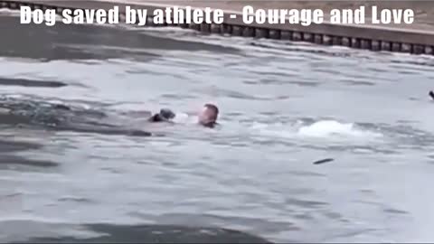 Dog saved by athlete - Courage and Love - Nova Plataforma de Videos