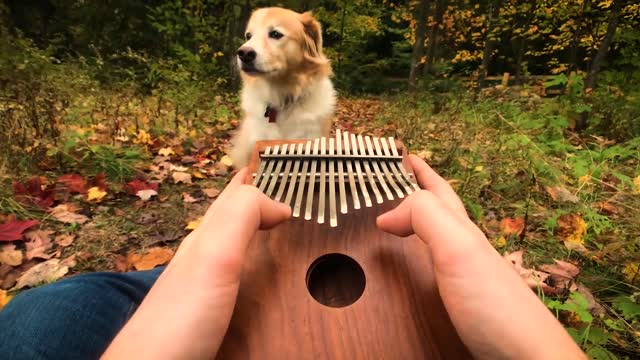 Can't Help Falling In Love on a Kalimba