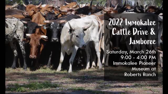 Immokalee Cattle Drive and Jamboree