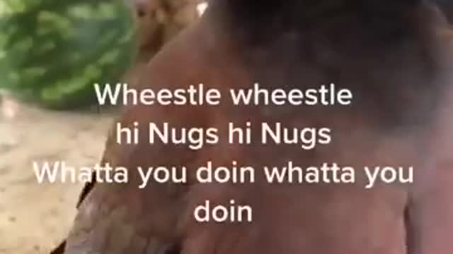 Don,t click this video?