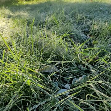 Crazy rare phenomenon caught on camera!