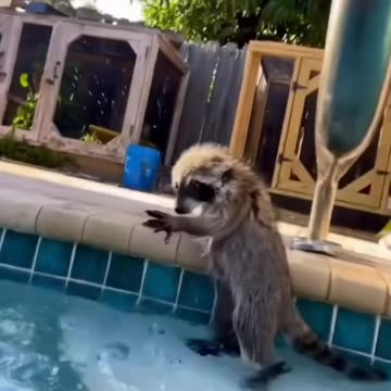 I want to play with him too.