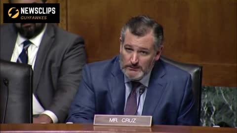 Senator Ted Cruz 'I Wish We Had A Hearing On Soros DA That Were Elected On Millions Of Dollars'