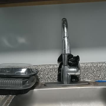 I'm an Afro Man that have options