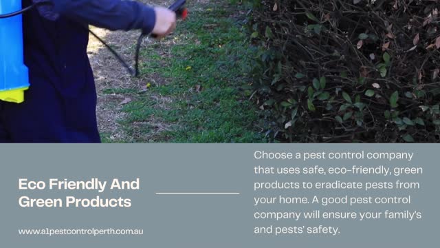 What Are The Factors You Should Consider When Choosing The Best Perth Pest Control