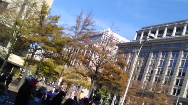 Stop the steal rally in washington d.c in november