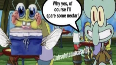 Spare some Nectar