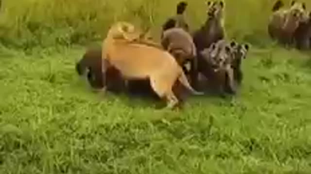 When you feel alone and fighting for freedom