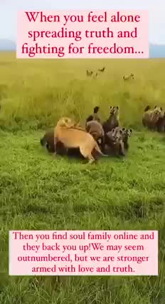 When you feel alone and fighting for freedom