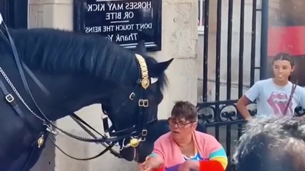 unexpected by horse