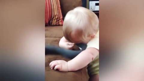 The little black cat hits the child with its tail