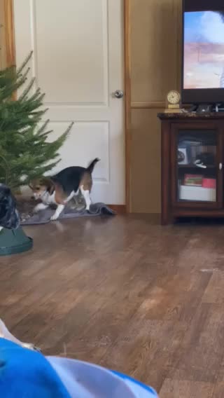 Dakoda’s fun with Pine!