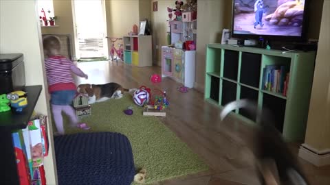 Little Girl playing chase with her puppy