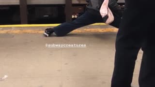 Man black jacket doing splits