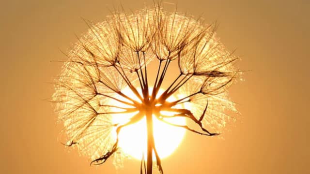 2 minutes of relaxing music,2 minute meditation music,2 minutes meditation, music 2 minute (1080p)