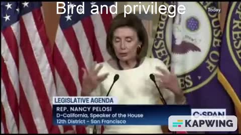 Birdable and Privilege Scrub