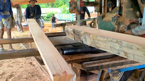 Big Red Meranti Wood Processing