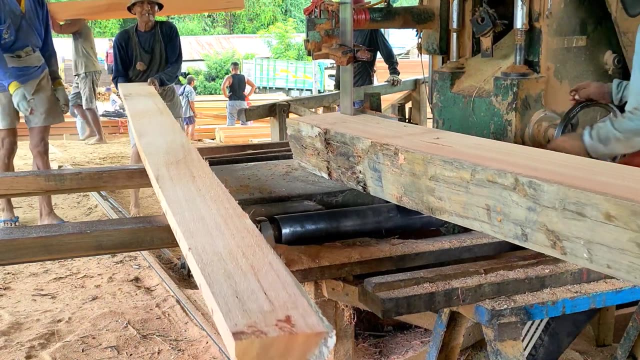 Big Red Meranti Wood Processing