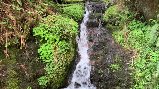 1 min with an Oregon coast waterfall