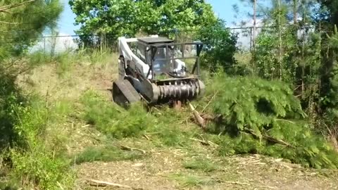 Forestry With Machinery - Precise Work