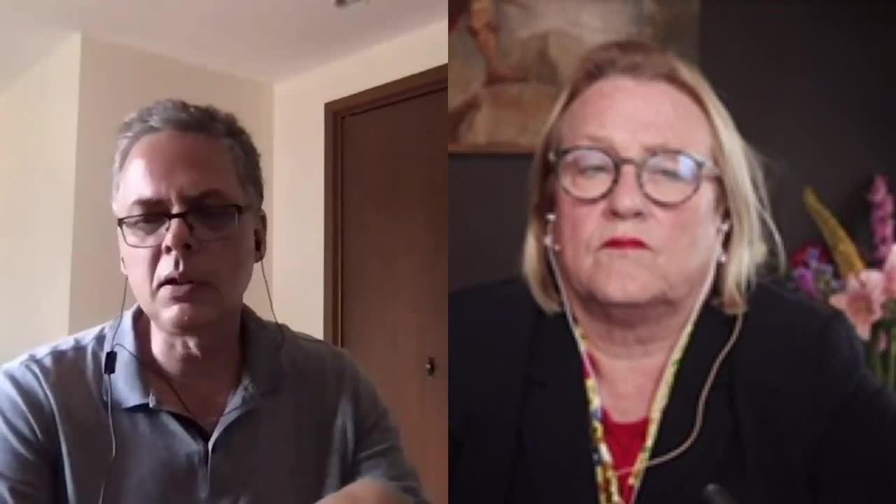 Dr. Michael Palmer / Catherine Austin Fitts Interview