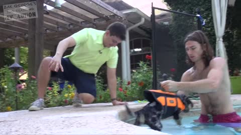 How to Teach Your Dog to SWIM & LOVE WATER!