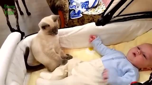 Cats protecting babies