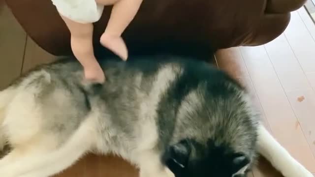 OMG 😱 so cute 😘😘