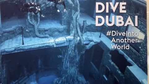 The World's Deepest Swimming pool!