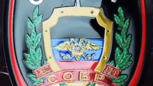Ministry of Internal Affairs of the DPR in the battles for Mariupol.