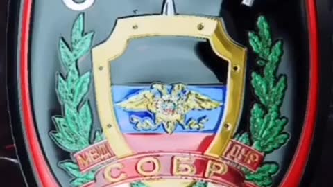 Ministry of Internal Affairs of the DPR in the battles for Mariupol.
