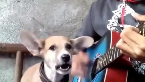 Singing Dog......funny as hell