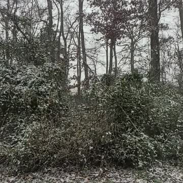 #WinterStormGail 🌬❄ on the Mid Atlantic