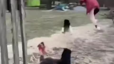 Funny Videos scene