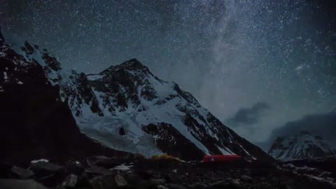 Beauty under the starry sky!