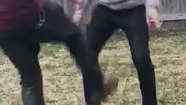 Guy willingly gets kicked in nuts in backyard