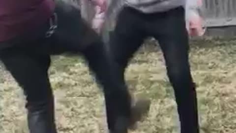 Guy willingly gets kicked in nuts in backyard