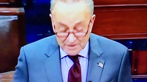 Chuck Schumer's Freudian Slip